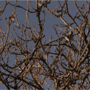 Galloway Glens Landscape Partnership